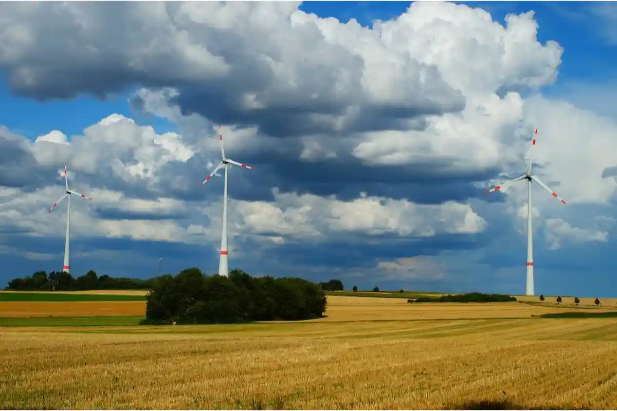 7 скрываемых фактов о зеленой энергетике: определенных затрат потребует сервис линий электропередач. Фото: Wirestock Creators / shutterstock.com 