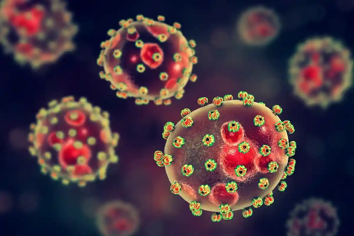Лихорадка Ласса: смертельный вирус страшнее COVID-19