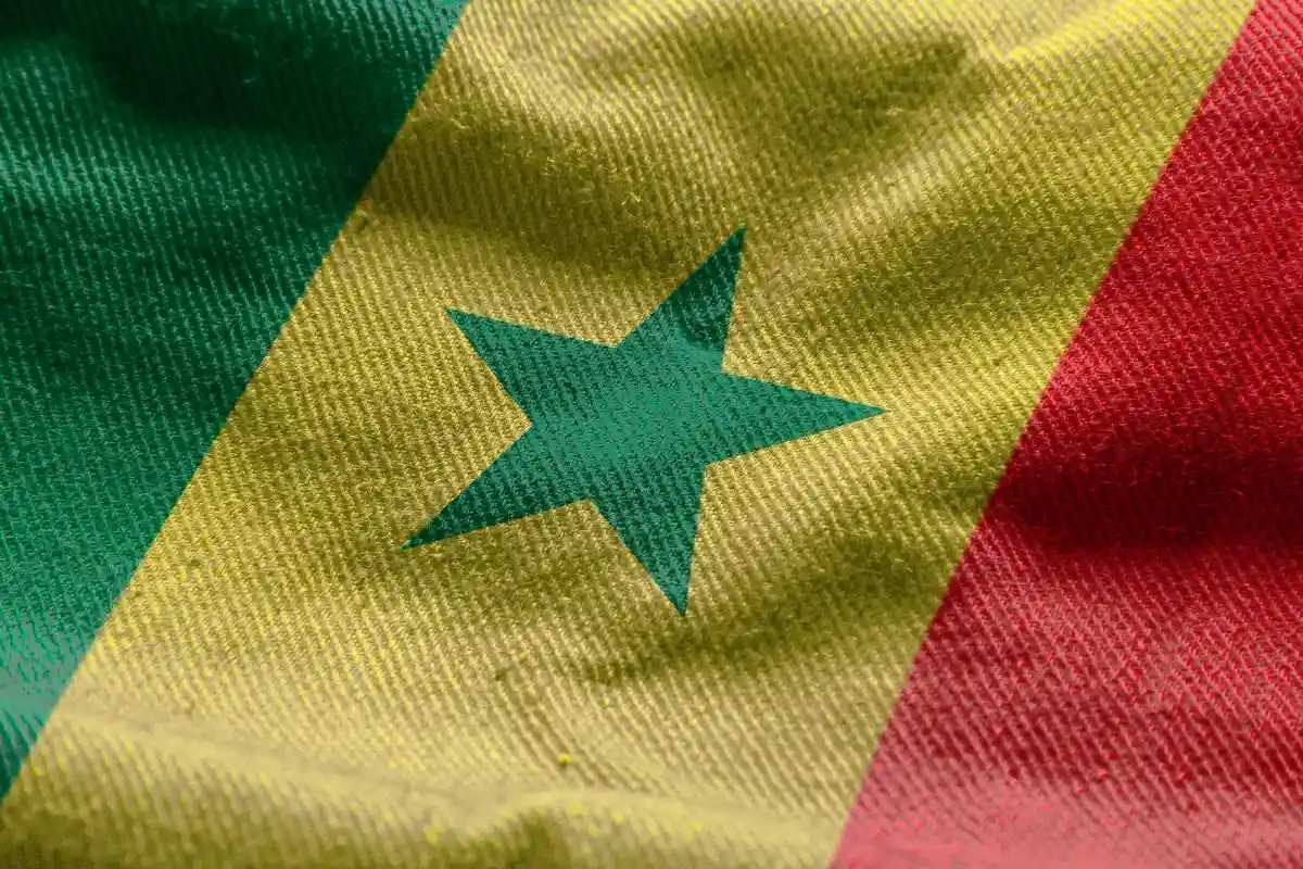 Как прошли парламентские выборы в Сенегале? Фото: Tatohra / Shutterstock.com