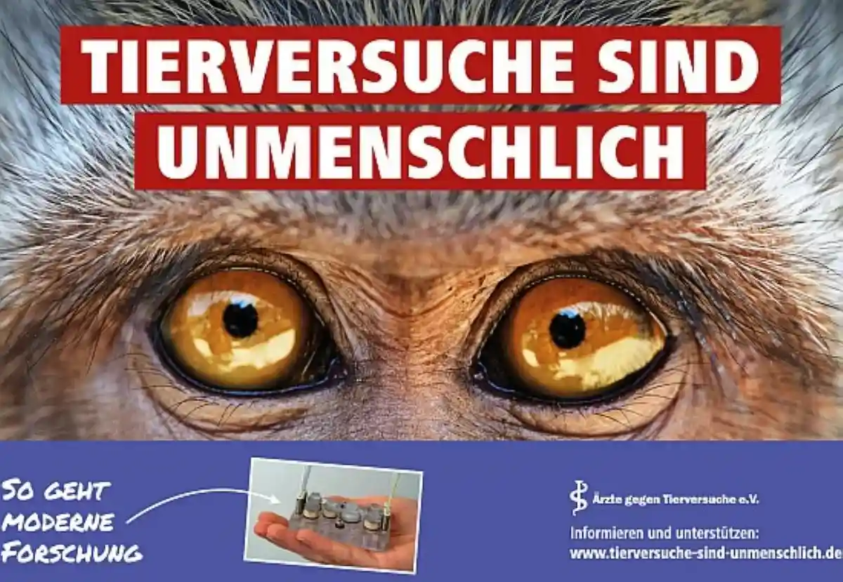 Акция против экспериментов на животных. Фото: aerzte-gegen-tierversuche.de