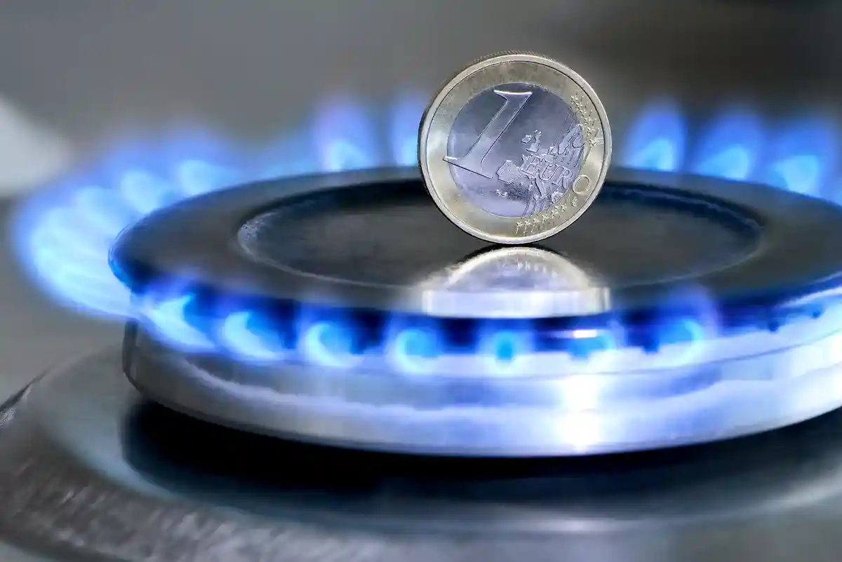 Цены на газ упадут: Хабек настроен оптимистично фото 1