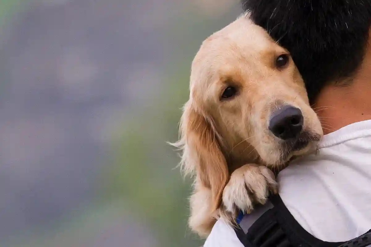 Ученые выяснили, что собаки способны плакать от счастья