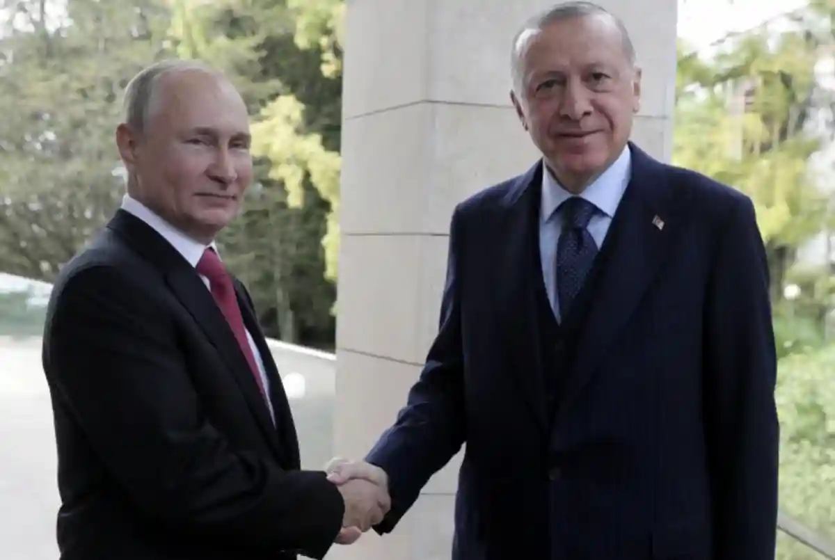 Эрдоган расскажет Путину о переговорах с Зеленским