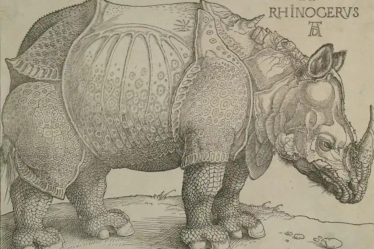 Выставка Чудо-носорог6 графюра Дюрера. Фото: Официальный сайт национального германского музея