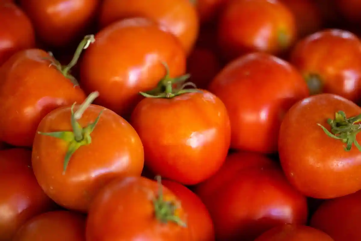 Консервированные томаты могут исчезнуть с полок магазинов из-за засухи. Фото: Engin Akyurt / unsplash.com