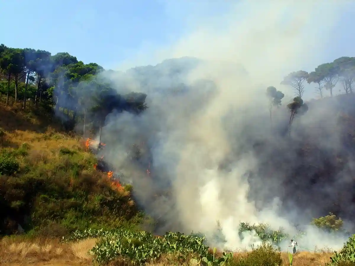 Местность и множество мертвых деревьев усложняют тушение пожара. corrado cattani / flickr.com