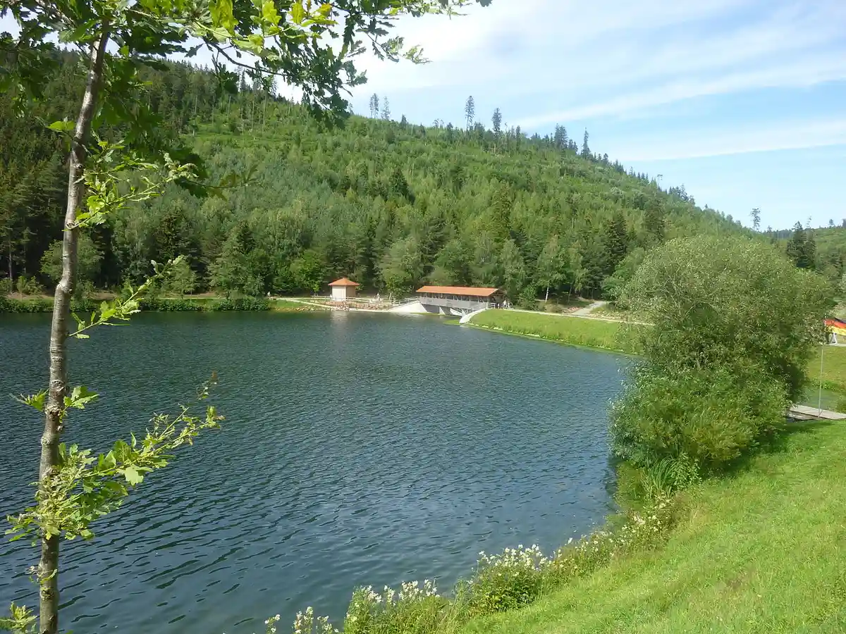 Лучшие озера для купания: плотина Нагольд в Зеевальд-Эрцгрубе. Фото: Adrian Michael / wikipedia.org