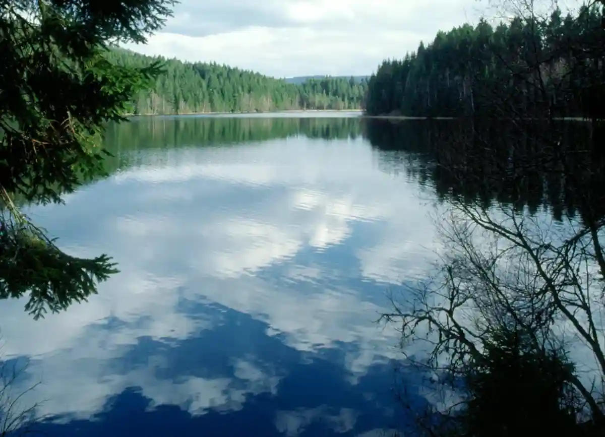 Лучшие озера для купания: Виндгфалвейхер в Ленцкирхе. Фото: I, Manfred Heyde / wikimedia.org