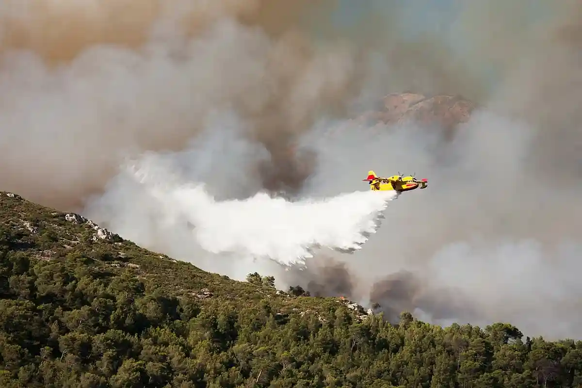 Закупать ли пожарную авиацию? Леса горят, самолетов нет. plprod / Shutterstock.com