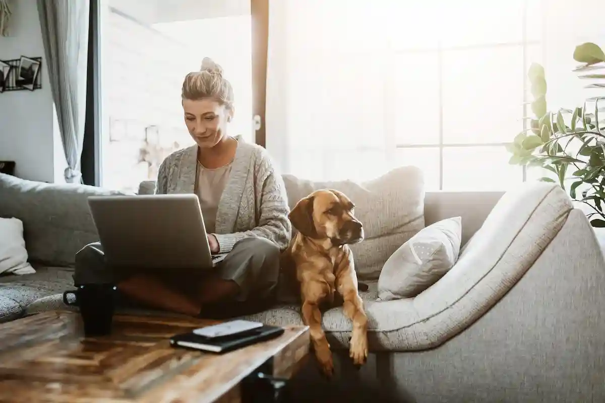 Новые правила домашнего офиса: они обязательны? Фото: MT-R / Shutterstock.com