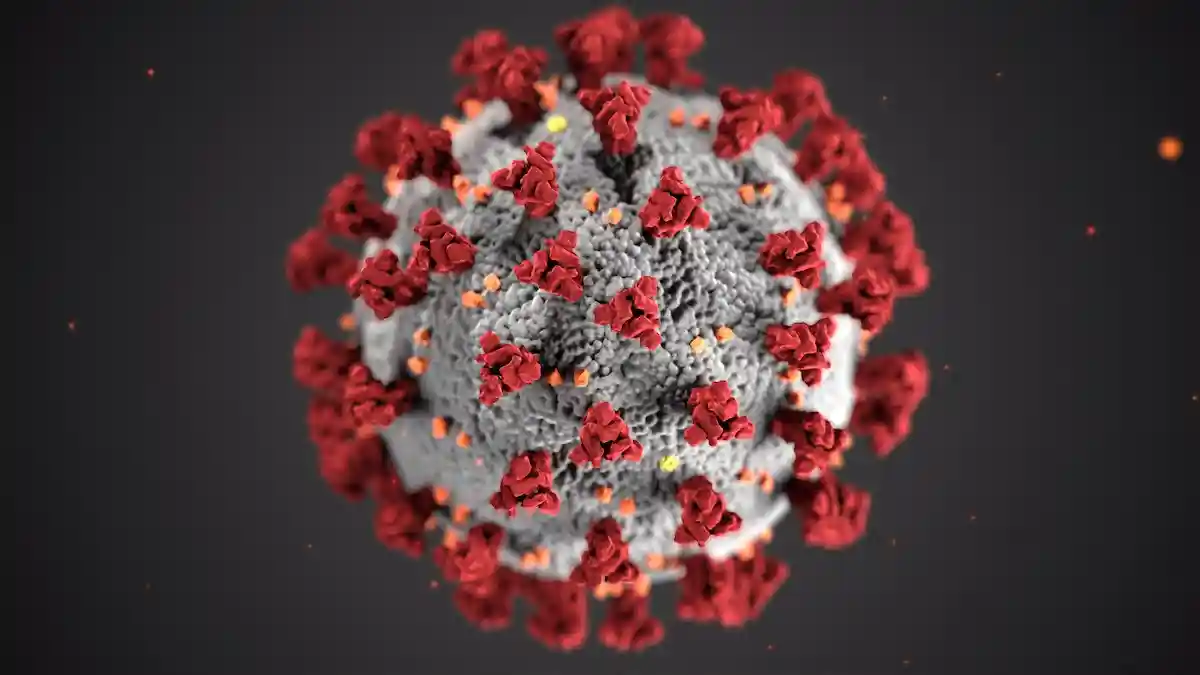 Новый метод лечения основан на понимании того, как действуют механизмы вируса SARS-CoV-2. Фото: CDC / unsplash.com 