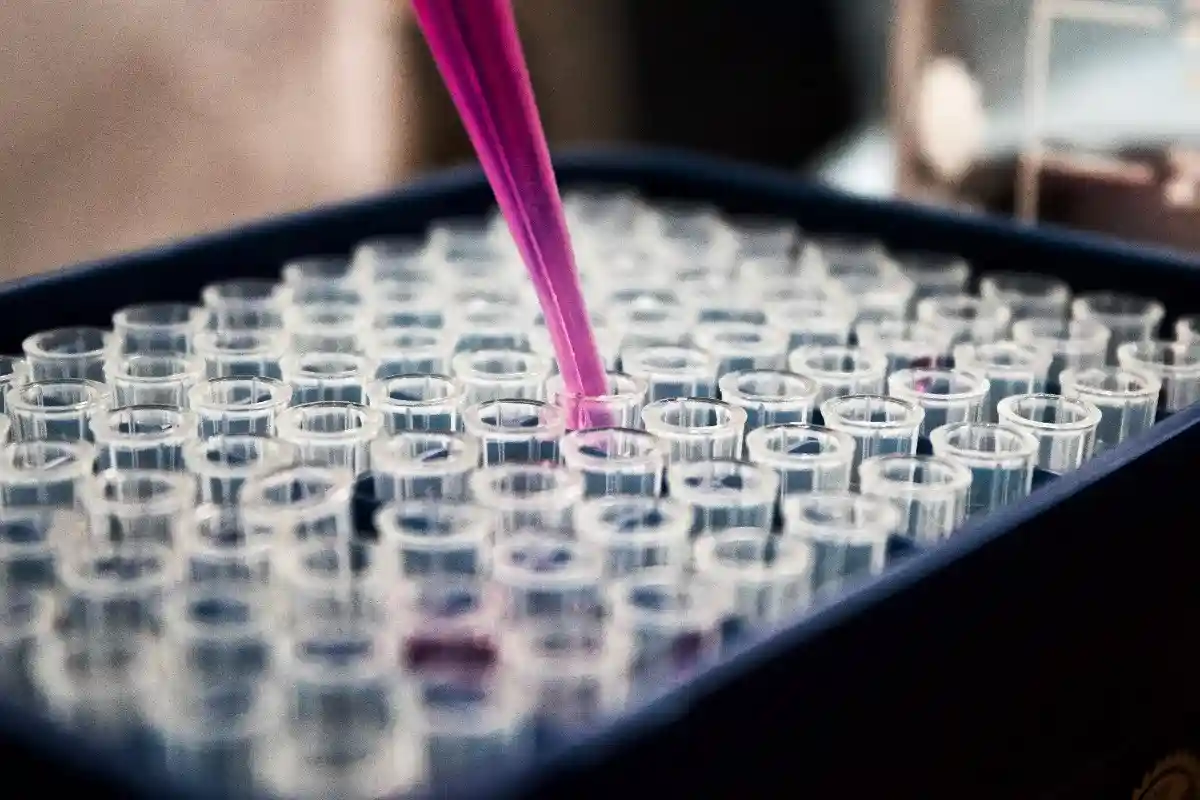  Фото: Новый метод лечения рака: кому поможет. Louis Reed / unsplash.com