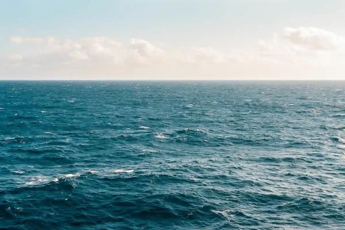 ООН провалила защиту океана. Фото: Kellie Churchman / pexels.com