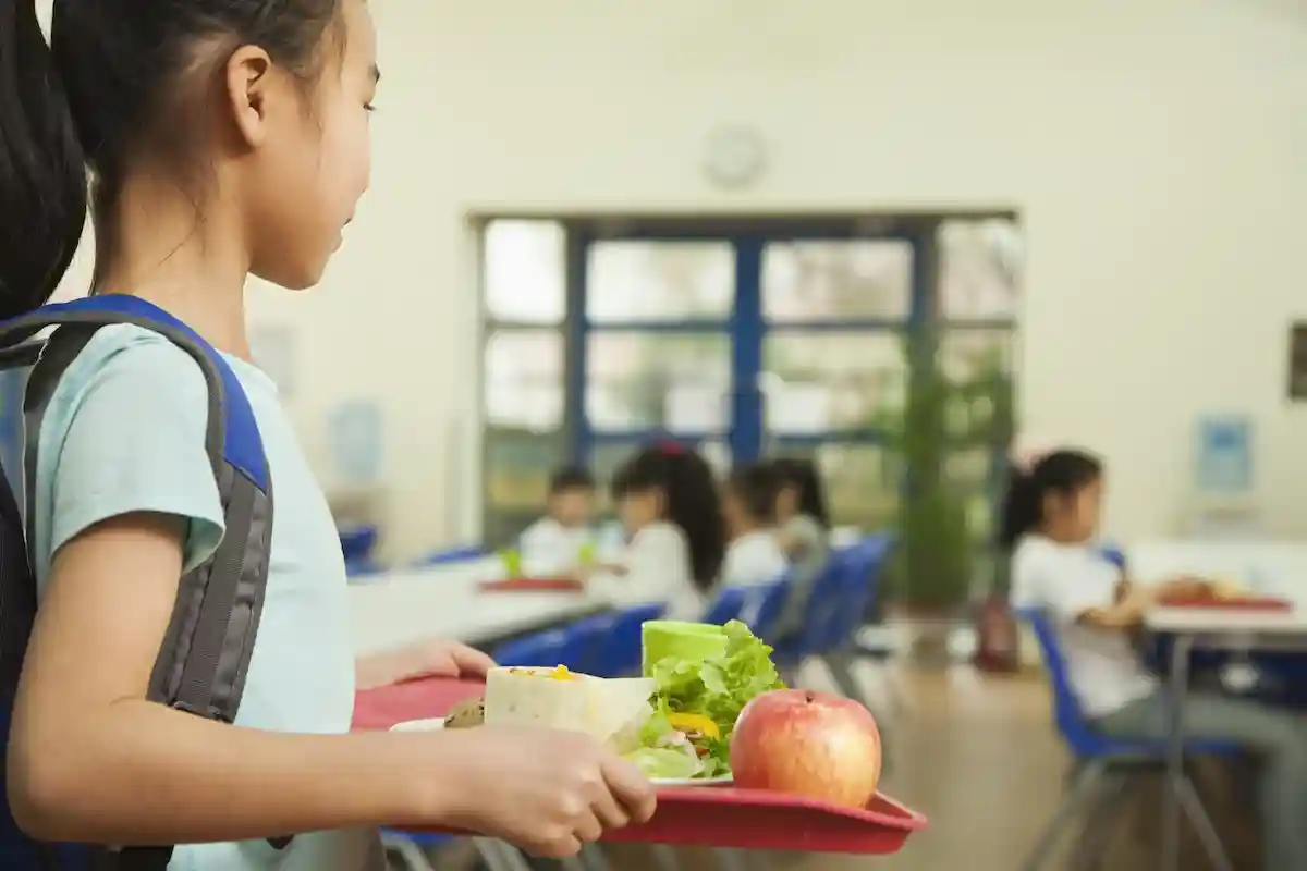 Питание в детских садах и школах Саксонии станет дороже