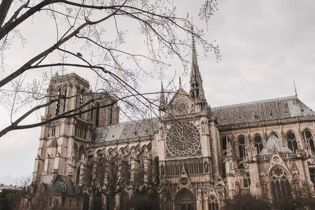 Как проходит реставрация Нотр-Дам де Пари? Собор Парижской Богоматери. Фото: Vlada Karpovich/pexels.com