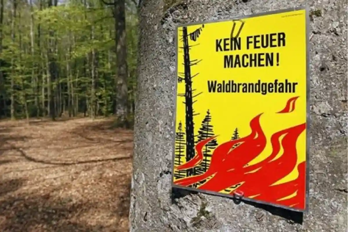 Риск лесных пожаров в Баварии продолжает расти