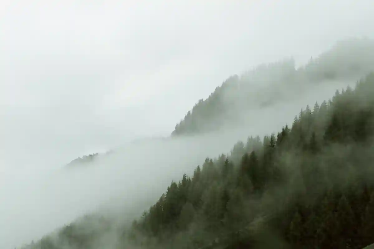 Сбор тумана: борьба с засухой в Испании