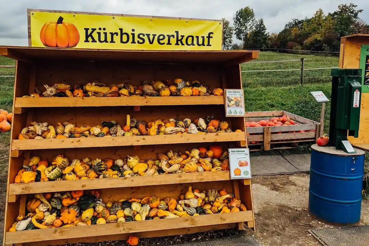 Сельский магазин в Шёнштедте продает фермерские продукты. Фото: Markus Winkler / Unsplash.com