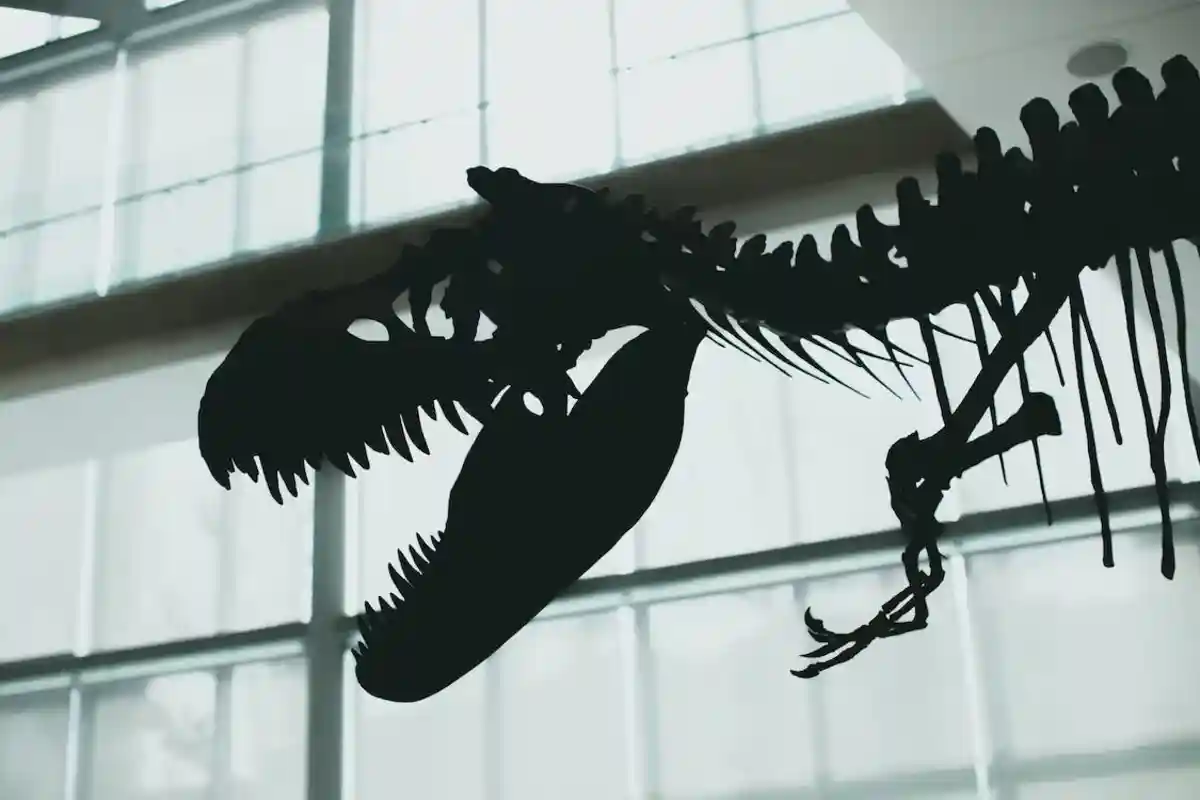 Следы Акрокантозавров впечатляют своей детализированностью. Фото: Jonathan Cooper/pexels.com