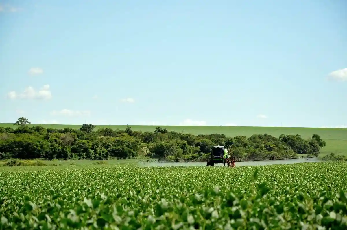 Cоя поможет немецким фермерам справиться с изменением климата. Фото: kaosnoff / Pixabay.com 