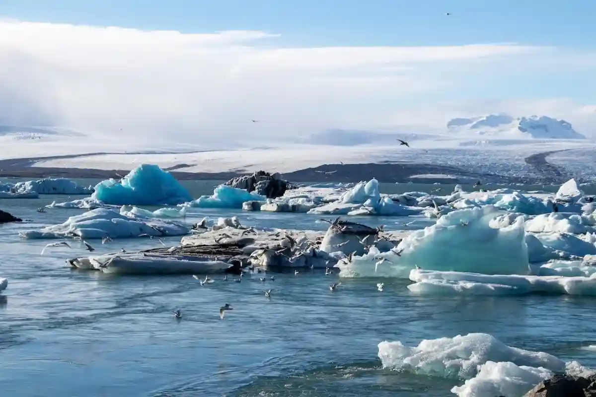 Таяние ледяной шапки Гренландии минимум на 27 сантиметров поднимет уровень моря