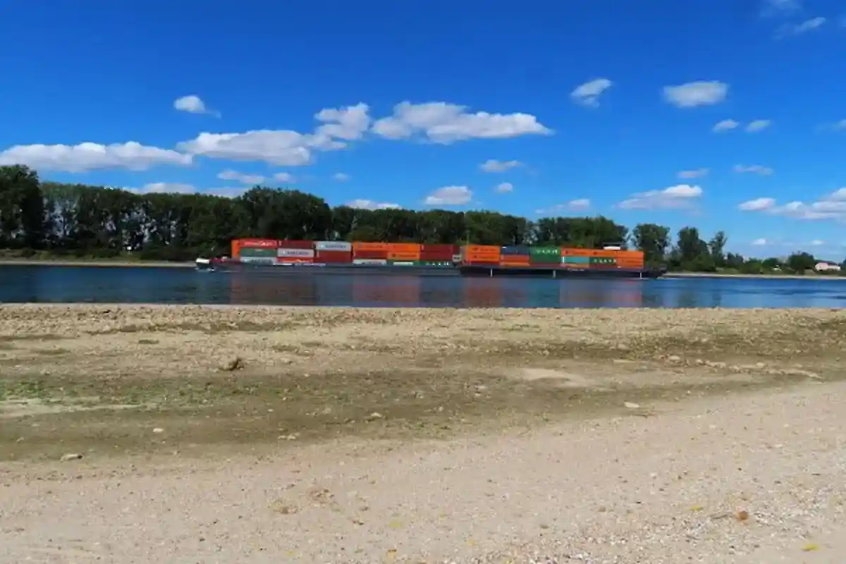 Уровень воды в Рейне упал до исторического минимума. Из-за этого коммерческим судам приходится перевозить меньше грузов. Фото: dieFrauH / twitter.com