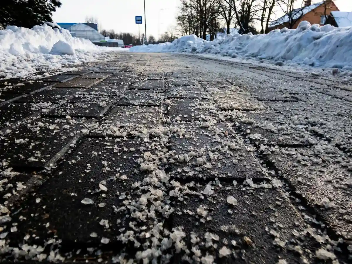 В Бремене хотят запретить людям разбрасывать на тротуары соль. Это вредит деревьям. Фото: Kristine Rad / Shutterstock.com