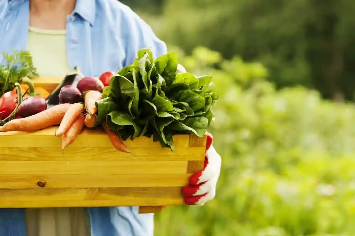 В интернет-магазине Vitavitee можно купить только органические продукты. Фото: gpointstudio / shutterstock.com