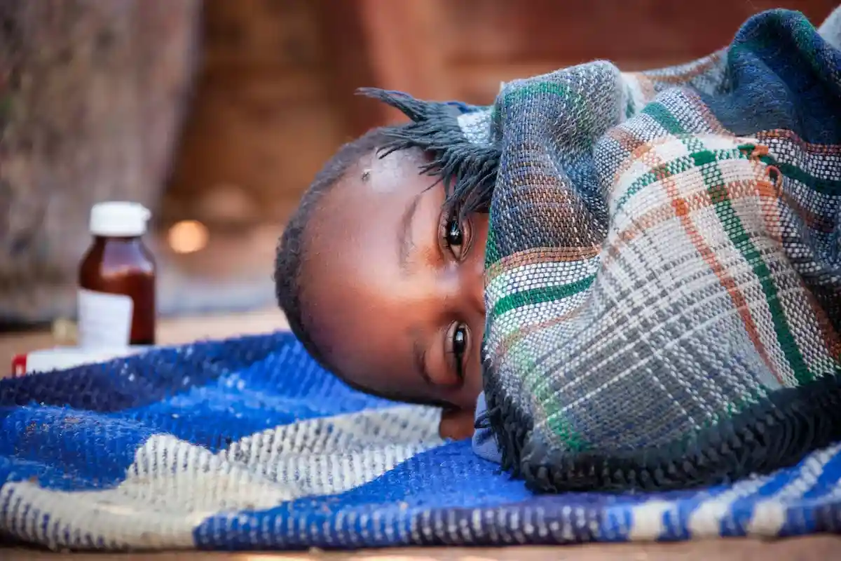 Возвращение малярии в Германию возможно, но пока 95% случаев приходится на Африку. Фото: Lucian Coman / shutterstock.com