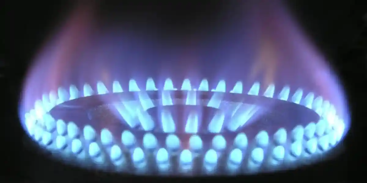 Хабек оправдывает спорный налог: газ для домовладений подорожает. Фото: CARLOS534 / wikimedia.org