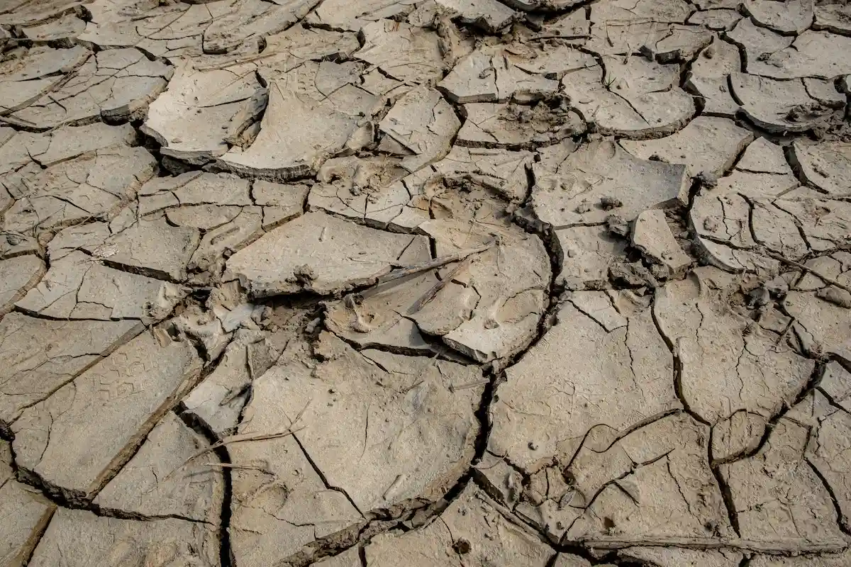 Засуха в странах Европы
