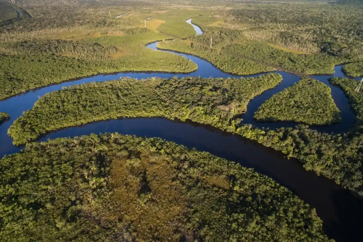 Леса Амазонки охватили сильнейшие пожары за последние 10 лет. Фото: Gustavo Frazao / Shutterstock.com