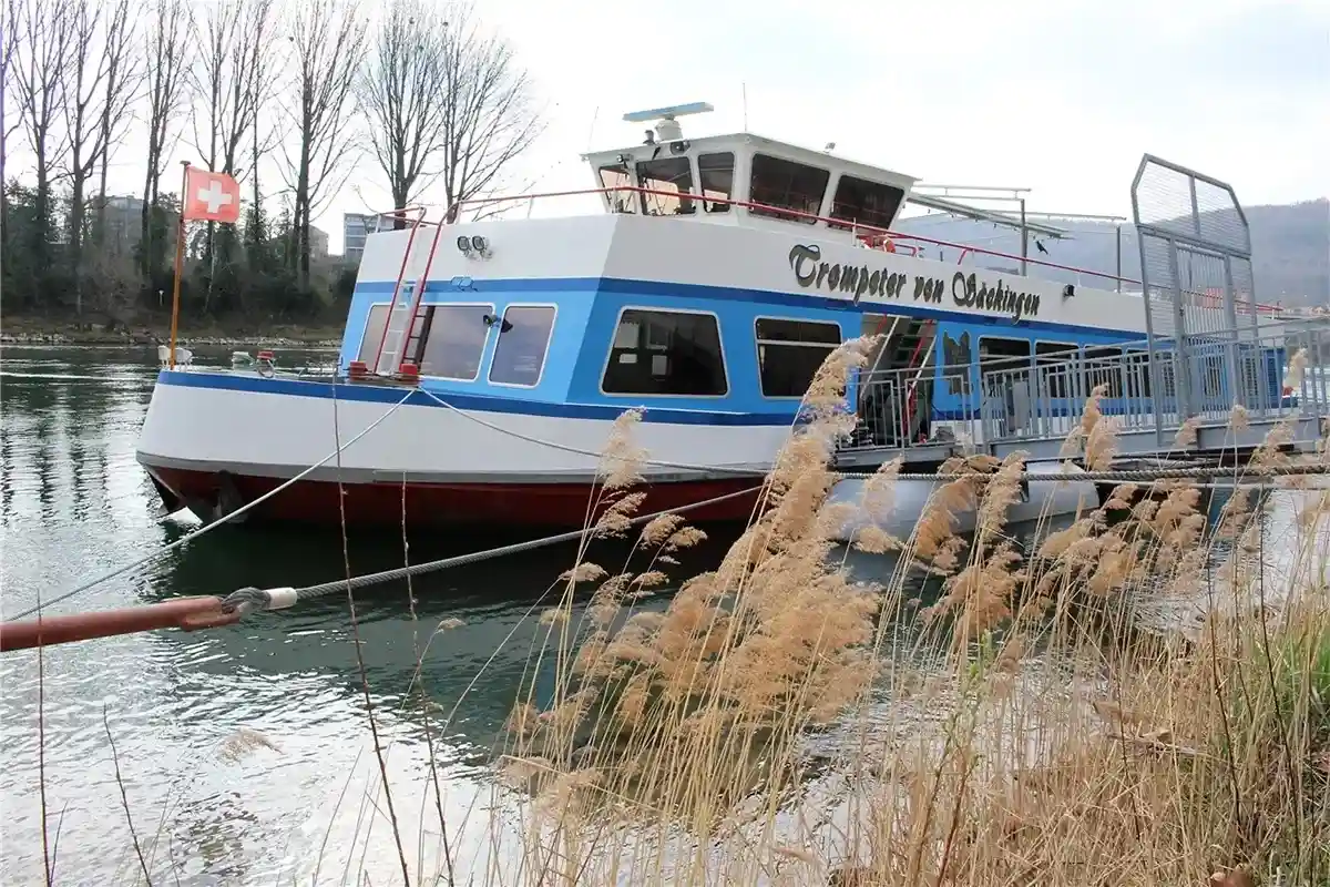 Мимо города по Рейну ходят небольшие речные судна. Фото: wikipedia.com