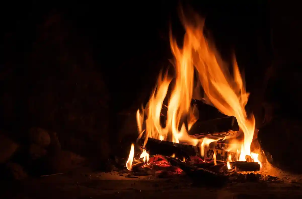 Сжигание древесины выделает вредные элементы, которые могут вызвать астму и загрязнить окружающую среду. Фото: Jon Naustdalslid / Shutterstock.com
