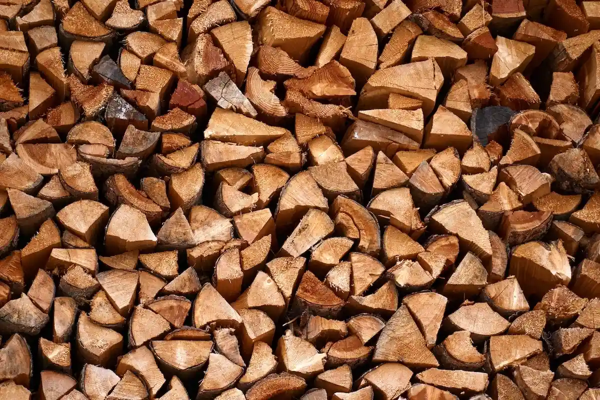 Необходимо хорошо просушивать дрова, если есть необходимость в использовании дровяного отопления. Фото: nadia_if / Shutterstock.com