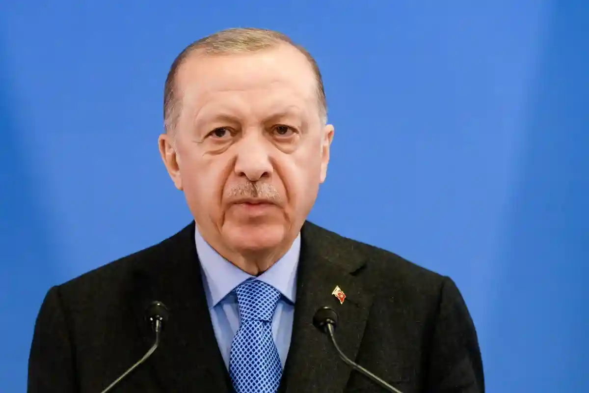 Эрдоган назвал ЕСПЧ «несправедливой структурой». Фото: Gints Ivuskans / Shutterstock.com