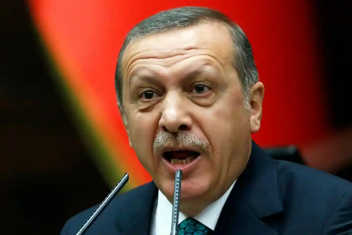 Эрдоган: в проблемах с поставками газа виновата Европа. Фото: Mustafa Kirazli / Shutterstock.com
