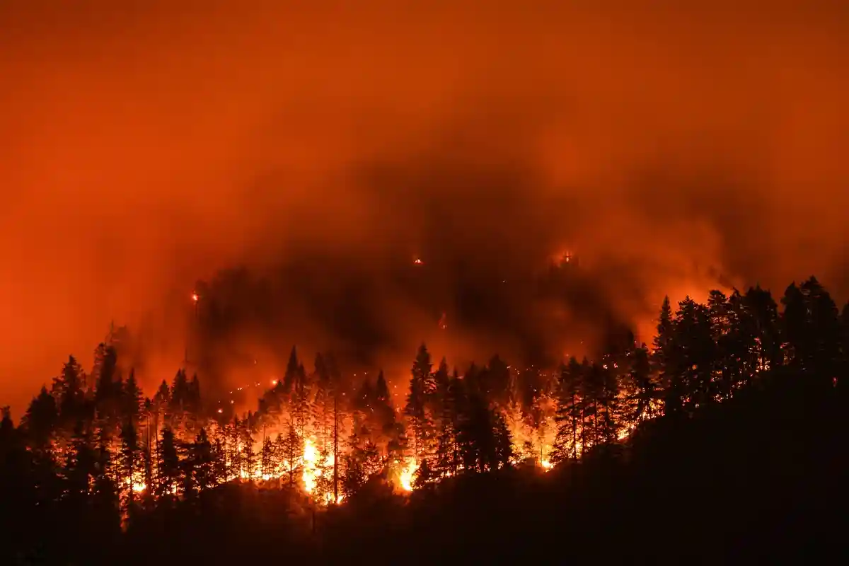 Лесной пожар во Франции привел к эвакуации тысячи людей. Фото: Christian Roberts-Olsen / Shutterstock.com