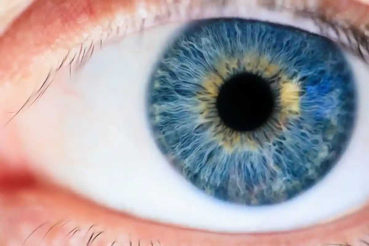Как наши глаза могут менять цвет. Фото: Michael Morse / pexels.com 