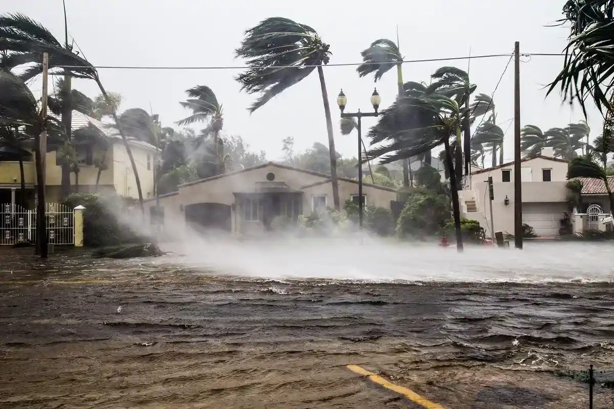 Шторм «Ян» усилился до урагана 4-ой категории