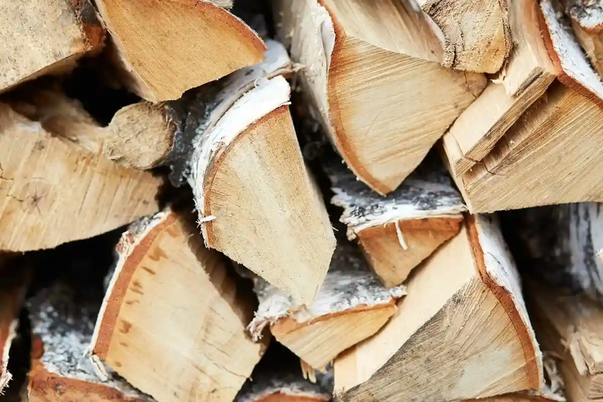 Многие страны ЕС переходят на отопление дровами. Фото: Nabatchikova Ekaterina / Shutterstock.com