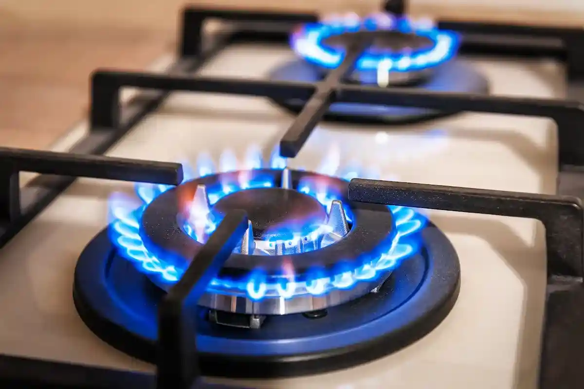 Сэкономить газ во время приготовления можно при использовании подходящей сковородки. Фото: Vova Shevchuk / Shutterstock.com.
