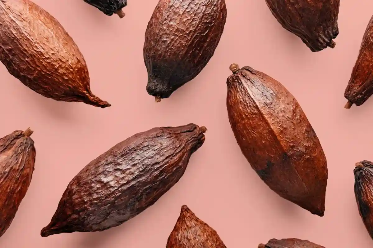 Какао вместо газа: оригинальное решение для выработки тепла