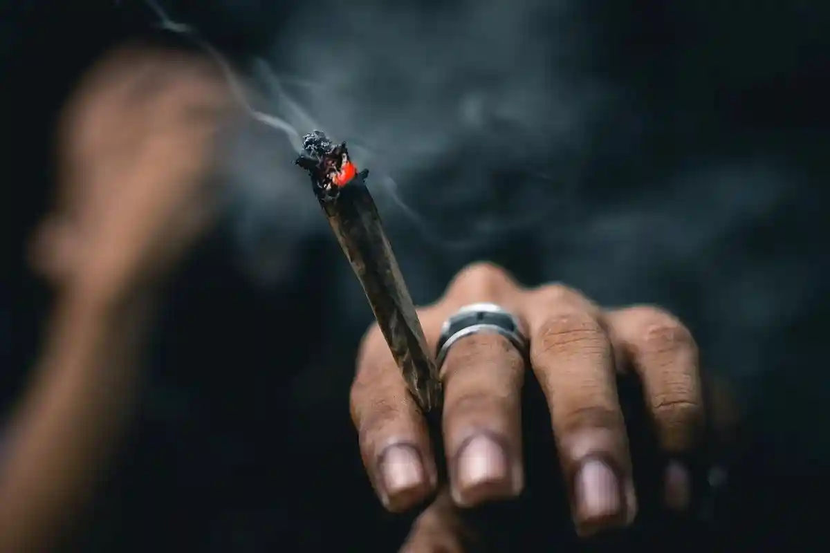 Легализация марихуаны в Австралии. Фото: Ahmed Zayan / unsplash.com