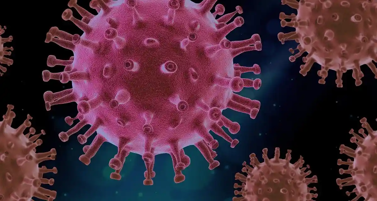 Летняя волна коронавируса снижает заболеваемость зимой. Фото: PIRO4D / pixabay.com