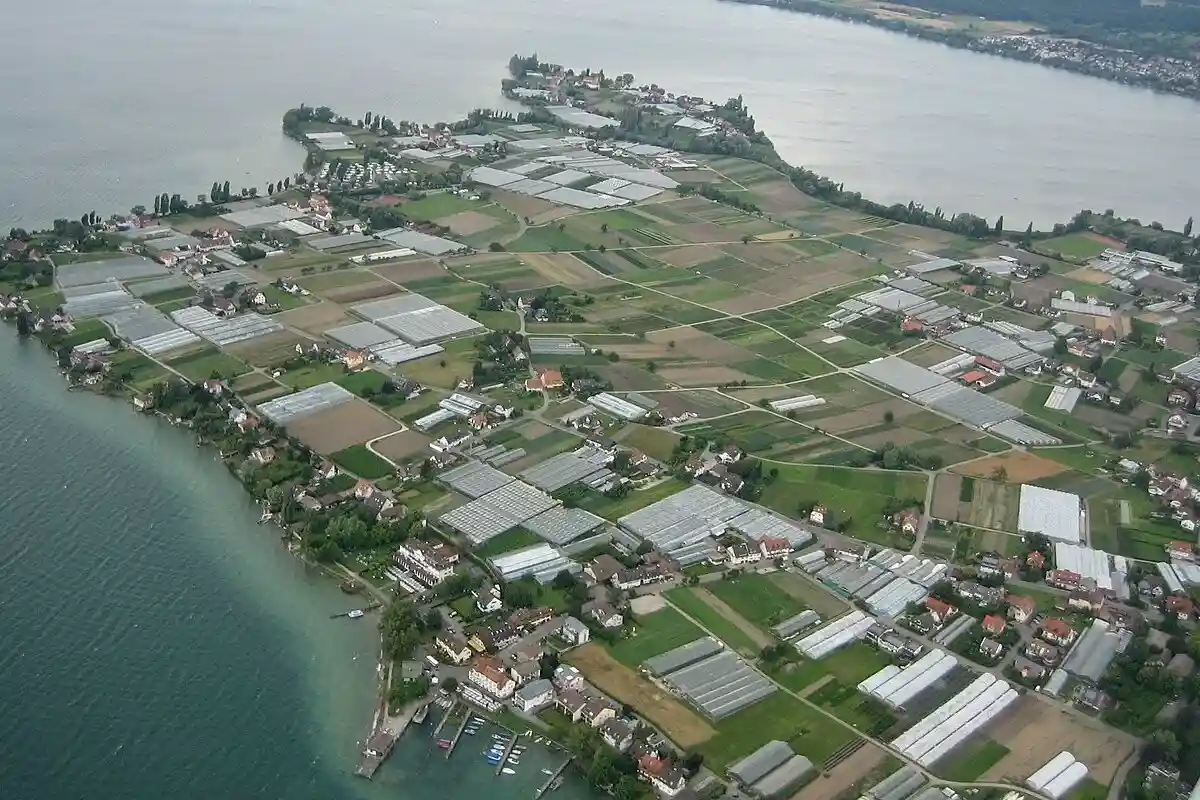 Остров Райхенау стоит отдлеьного посещения. Фото: Martin Steiger / wikipedia.org