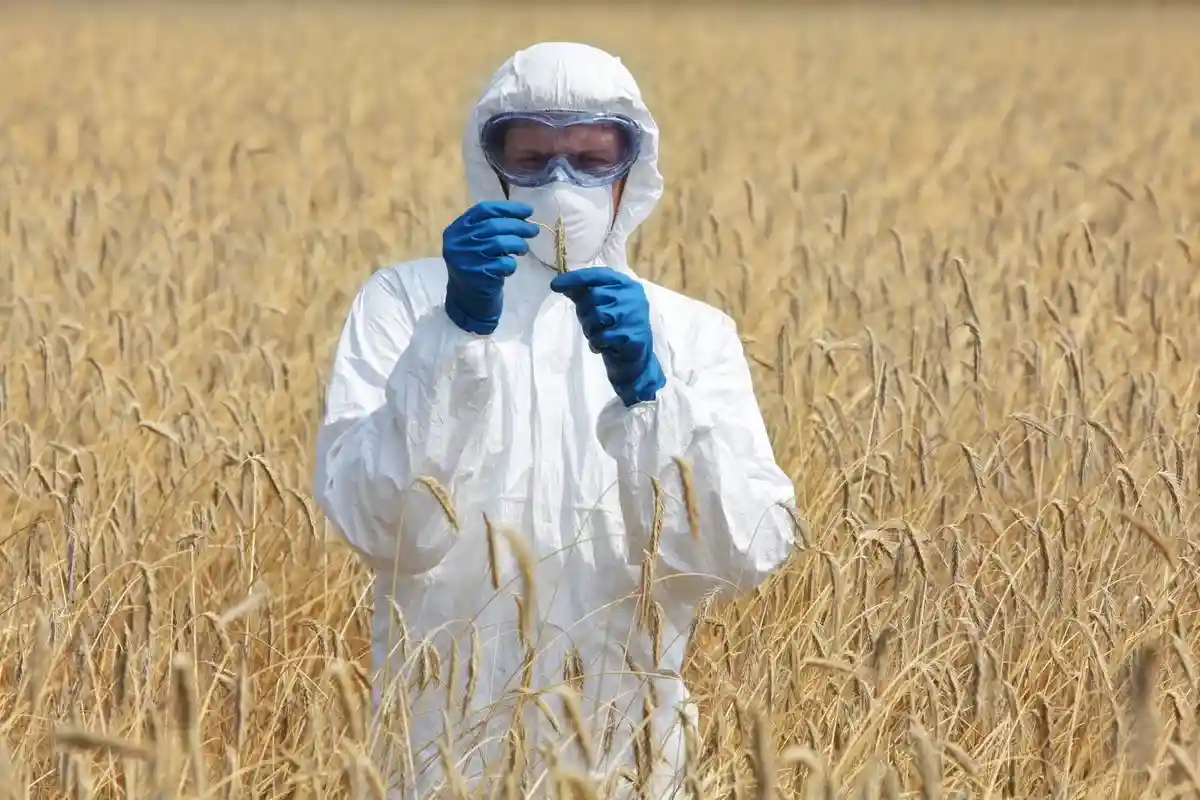  Министры сельского хозяйства ЕС за генную инженерию. Фото: Marcin Balcerzak / shutterstock.com