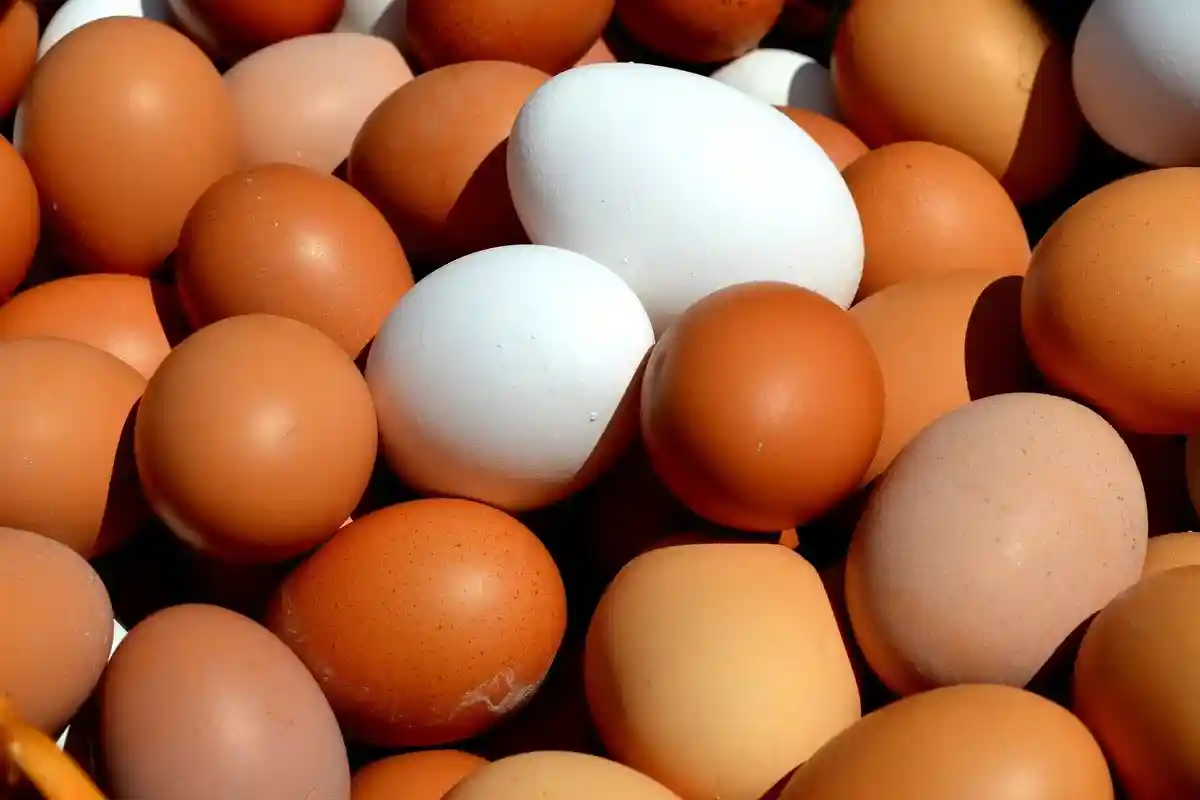 Нехватка продовольствия в Германии: яйца могут закончиться уже в конце осени. Фото: Detmold / pixabay.com