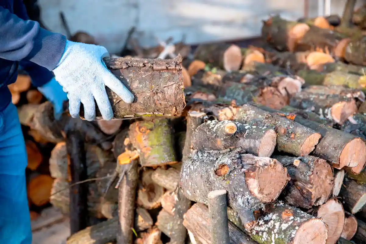 Отопление дровами в Германии набирает популярность. Фото: Pearl PhotoPix / Shutterstock.