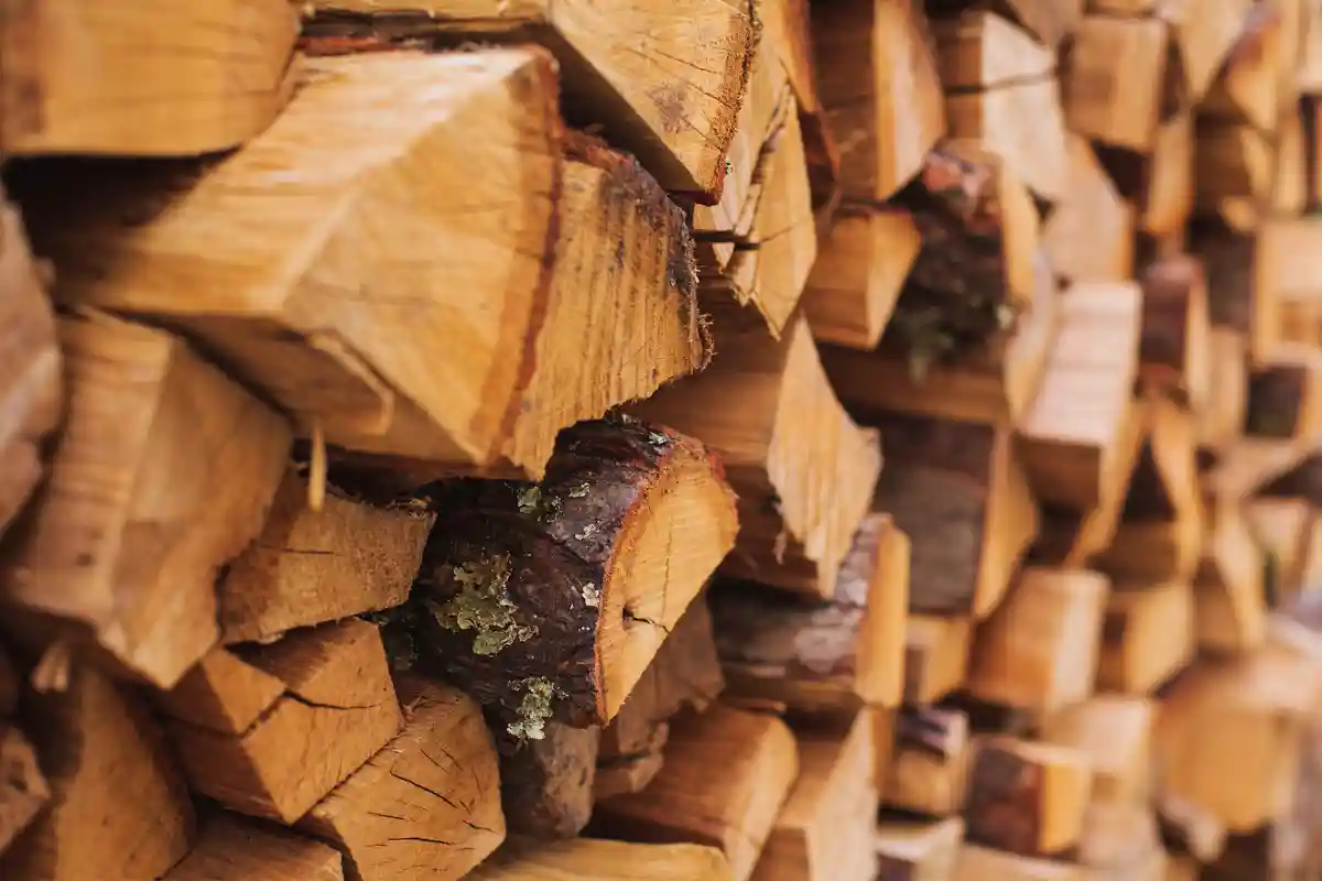 Отопление дровами в Германии: правила и особенности